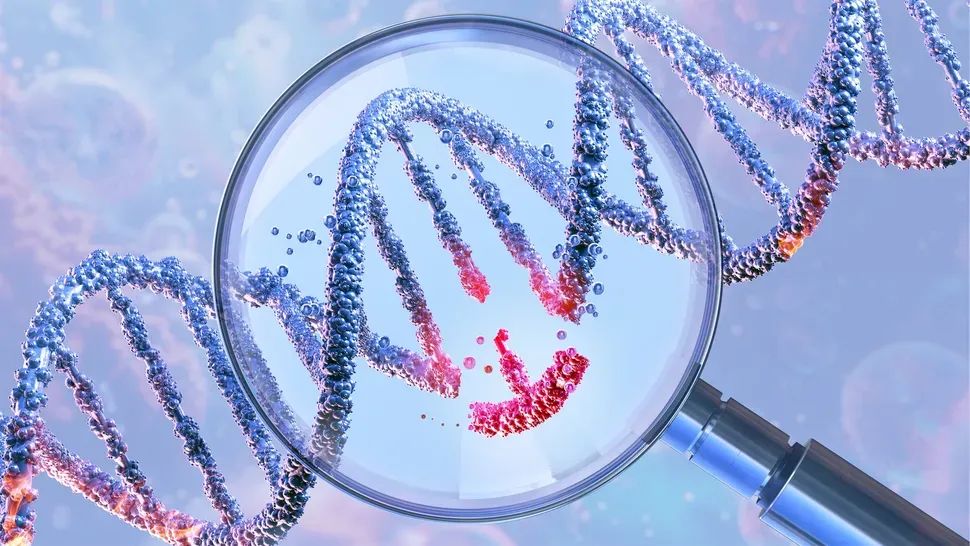 微信图片_20250820133323 微信图片_20250820133323