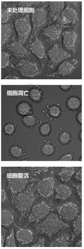 图片2 图片2
