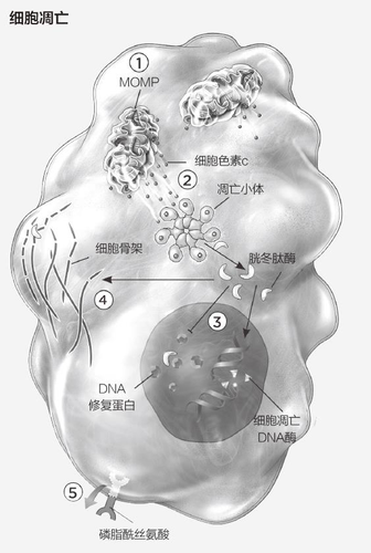 图片3 图片3