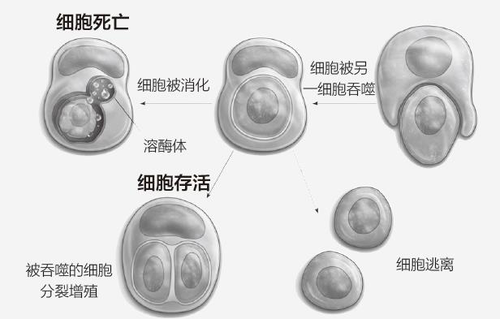 图片5 图片5