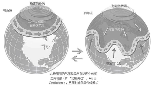 图片3 图片3