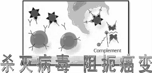 杀灭病毒__阻扼癌变_易家康