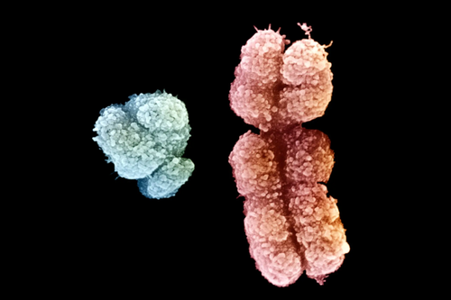 微信图片_20250606081447 微信图片_20250606081447