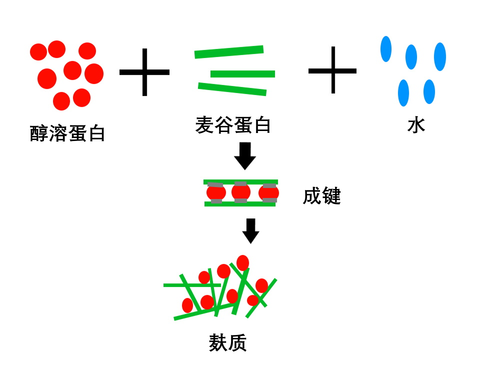 微信图片_20251115195056 微信图片_20251115195056