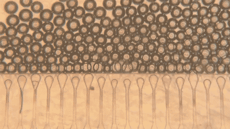 微信图片_2026-04-18_071129_045