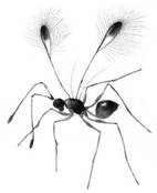 http://www.americanscientist.org/Libraries/images/2013811349469780-2013-09BREVBurkeF1.jpg