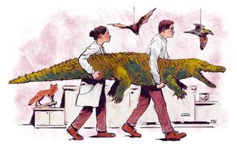 说明: http://cdn.theatlantic.com/assets/media/img/2016/02/06/NaturalHistory2/1920.jpg?1454779514